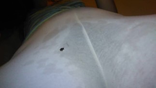 认为有人会注意到 WET HAIRY PUSSY？**免费全长视频** 现在的内容@ ManyVids OF