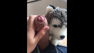 Снова со своим волчьим плюшем
