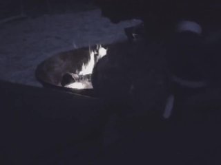 I Saw Him Stroking His Cock Alone_by the Campfire, So I Came to Him with My_Mouth to Help Him_Cum