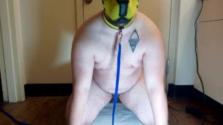 FTM Дрессировка Щенка Моча