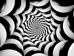 Stage 1 Preparing the manpig for Safe Haven Pig Farm