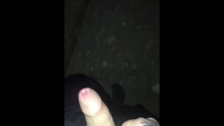 Sneaking out to cum on my street -nearly caught-
