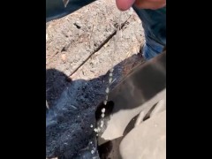 Pissing in public again in front of busy road at work