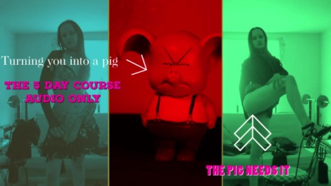 Learn how to be a pig the 5 day course SNIFF OINK JOI ALL PICS ARE ME