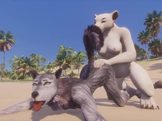 furry animation, pussy licking, yiff, scissoring, 60fps