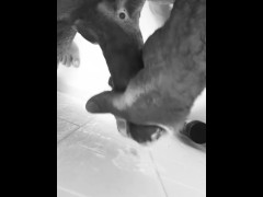 Quick cum building session in the shower