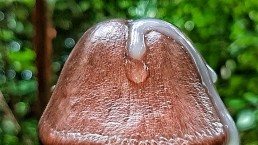 Я Медленно Поглаживаю Свой Путь К Оргазму, Пока Мой Член Не Наполнился Спермой И Огромной Порцией Спермы Крупным Планом