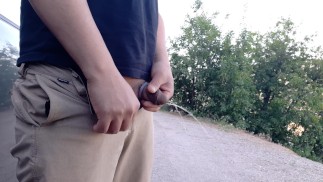 皮诺伊在路边撒尿