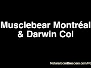 Preview 1 of Musclebear Montréal & Darwin Col (TRAILER)