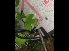 pissing on basketball net