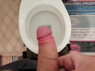 hairy cock, toilet masturbation, cum, mastrubation