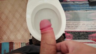 Quick Cumshot In The Toilet
