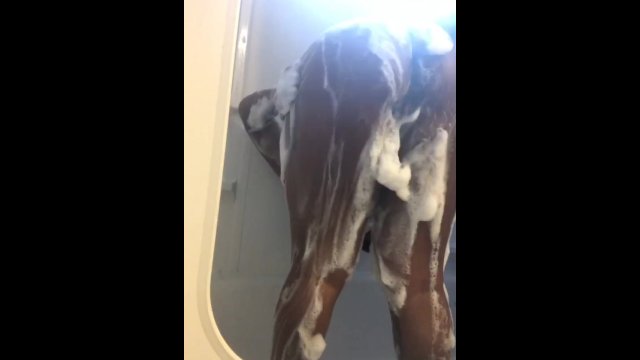 Fresh shower pussy💦