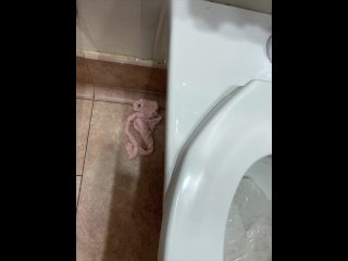 solo female, bbw, toilet, restroom