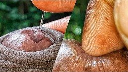 Я Дразню Тебя, Играя Со Своей Вкусной Спермой И Трахая Пальцами Дырочку Члена Очень Крупным Планом