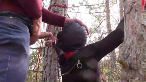 In einem sexy Outfit an einen Baum gebunden, maskiert und ohne Gnade im Freien