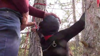 Tied To A Tree In A Sexy Masked Outfit And Outdoor Deepthroat With No Mercy