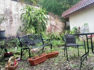 Massive squirting in mygarden. Hot ebonyoutside
