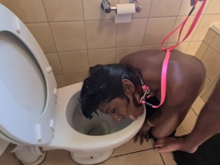 Human Toilet Indian Whore get Pissed on and get her Head Flushed followed by Sucking Dick.