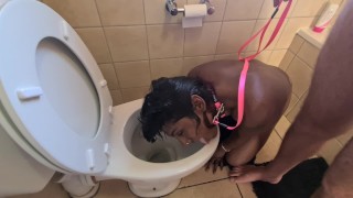 人間のトイレのインドの売春婦は腹を立てて彼女の頭を洗い流し、続いてディックを吸う