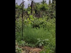 This time the rain also ended in a rainbow