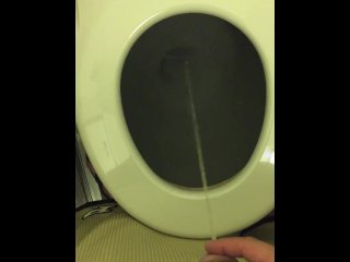 Pissing in the Plane Bathroom