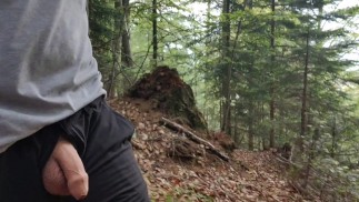 flashing my cock outside in the woods | risky outdoor