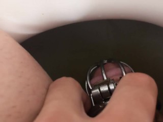 Guy Dans Chastity Fait Pipi Dans Les Toilettes