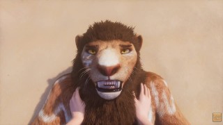 Vida Selvagem / Ponto de vista feminino com enorme Lion Furry