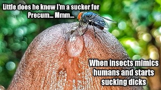 Ямайский парень с большим членом представляет- Экстремальный крупный план Precum Play Самый Мокрый Член на Ямайке! Сексуальные стоны