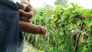 Outdoor_handjob_cumshotot的乡村手淫