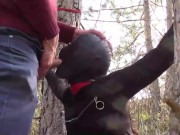 Outdoor sex in the wood. Wearing sexy clothes and high heels, bound, throated and fucked