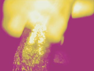 Jerking this BBC real quick