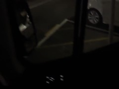 Video Young Kiwi MILF gets Fucked in nzDan's Van at Auckland City Viaduct