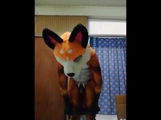 Play with a good toy.