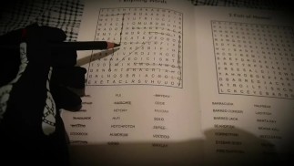 Рифмующий. Поиск слов 1