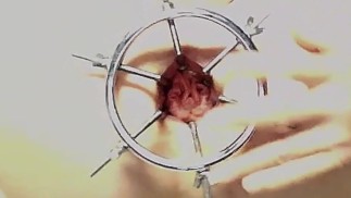 LiveNLove: ПУЛЬСИРУЮЩАЯ ЗАЗЕРВАЯ ЖАРА  LiveNLove: PUL'SIRUYUSHCHAYA ZAZERVAYA ZHARA