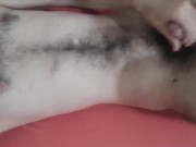 Laid back otter masturbating, shooting cum on hairy belly and chest