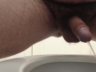 Pee in Toilet, Front View.