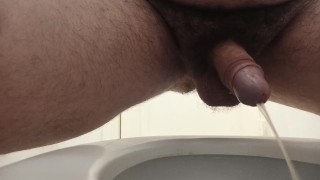 pee in toilet, front view.