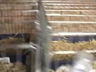 PASCALSSUBSLUTS - Submissive Louise Kay Dominated By Pascal