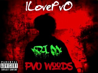 ILovePvO - PvO Woods 7