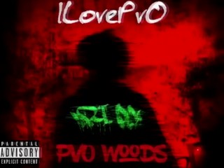 ILovePvO - PvO Woods 3