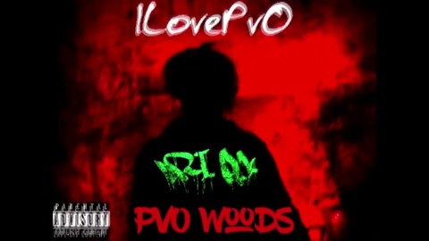 ILovePvO - PvO Woods 1