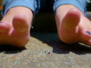 Giantess Stomps on Tiny with Bare Feet (Giantess, Feet) PREVIEW