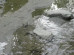 playing with the mud