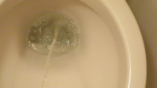 Перестань мочиться по дороге и снова ссать !!