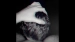 Playlist Thumb 45331912-2