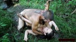 Playlist Thumb 98690531-2