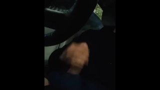 So horny had to pull over n pull my dick out